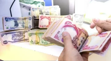 هسه 100 دولار بالدينار العراقي.. سعر الأخضر يتقلب ببورصتي الكفاح والحارثية